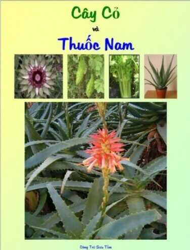 Cây Cỏ Và Thuốc Nam