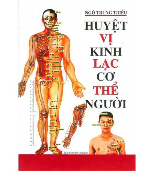 Huyệt Vị Kinh Lạc Cơ Thể Người