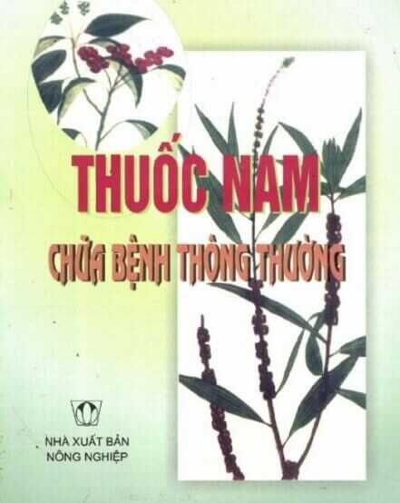 Thuốc Nam Chữa Bệnh Thông Thường