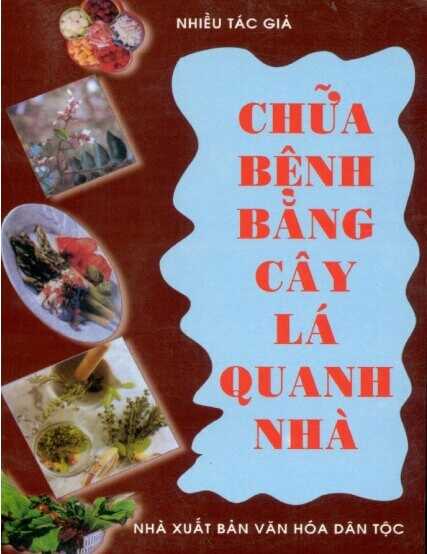 Chữa Bệnh Bằng Cây Lá Quanh Nhà