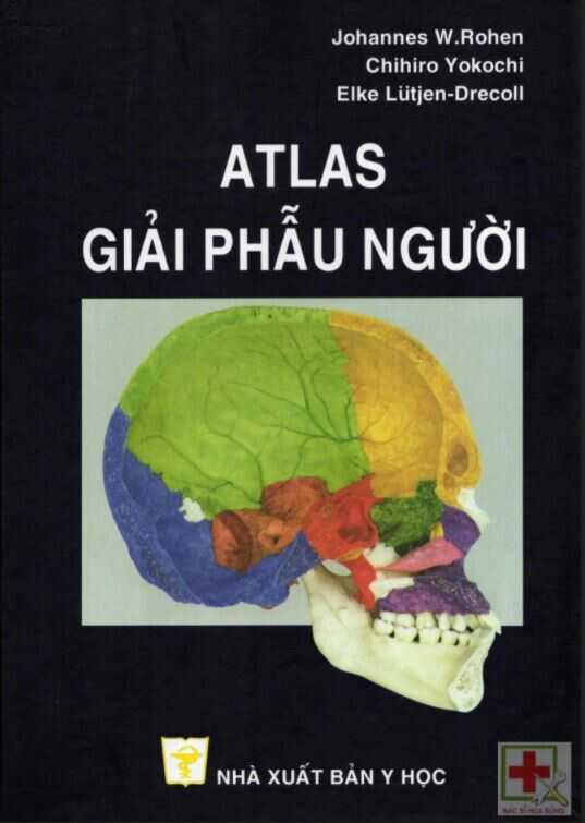 Atlas Giải Phẫu Người